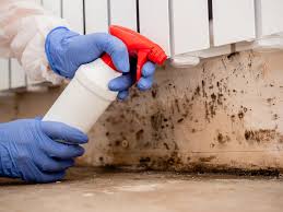 Best HVAC Mold Inspection and Cleaning  in South St Paul, MN